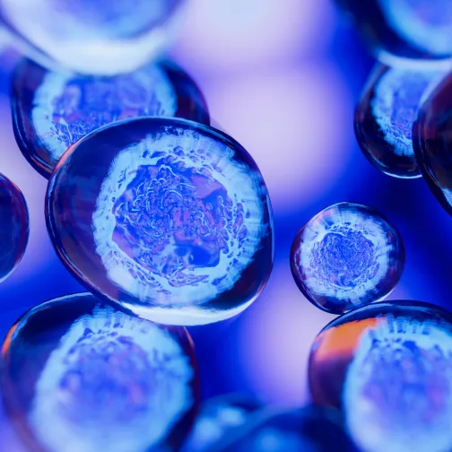 Cells